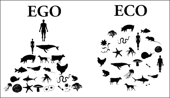 EGO vs ECO